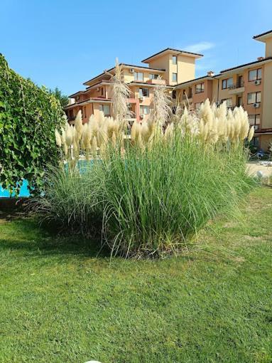 Magic Dreams Apartments Sveti Vlas Eksteriør billede